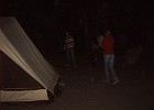 Kamp2006-Nell 239