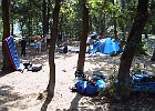 Kamp2006-Nell 313