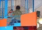 P6210054
