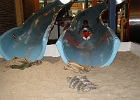 P6220260