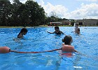 IMG 4092