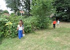 IMG 4131